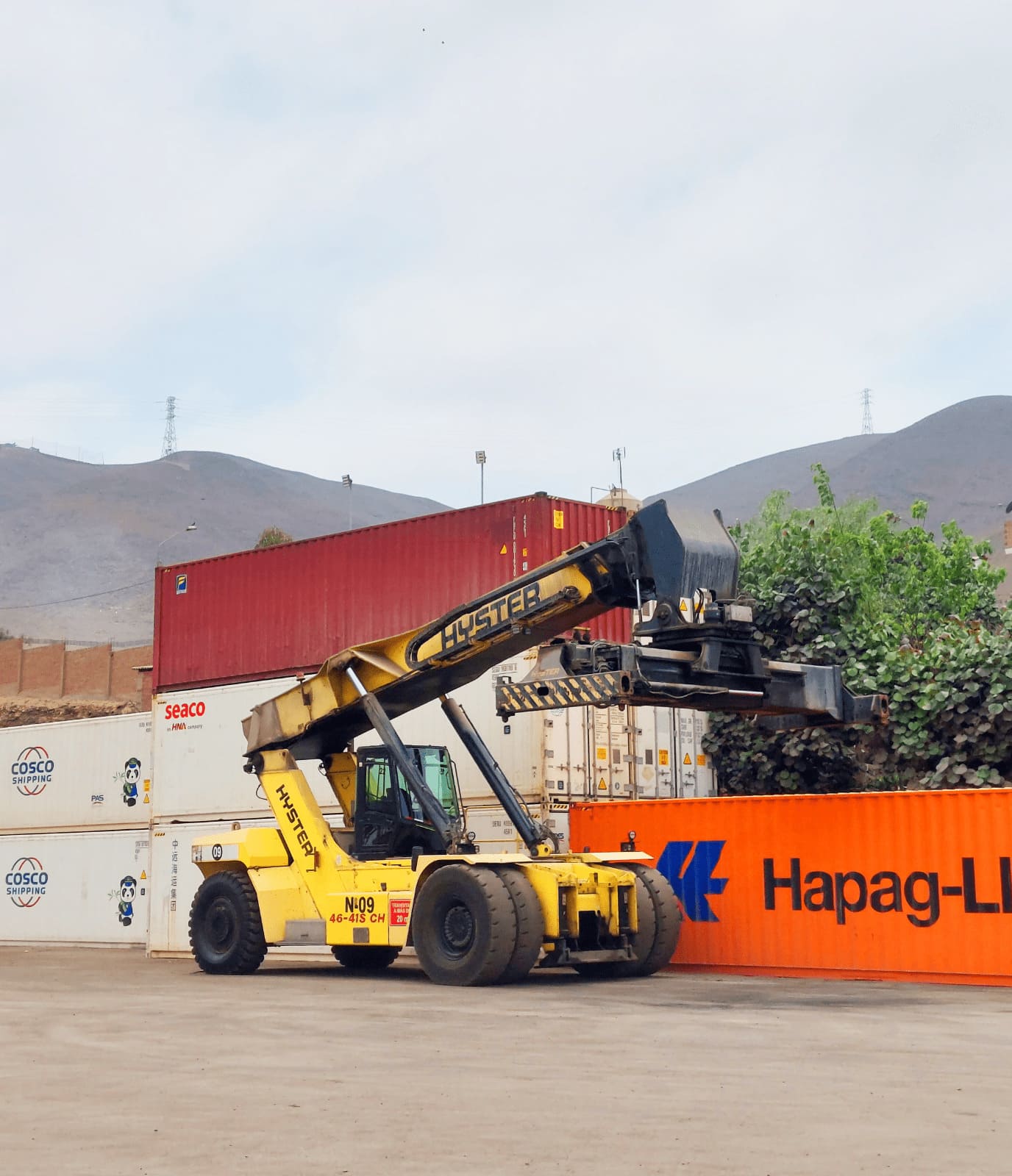 agente de aduanas, operador logistico, grupo pml